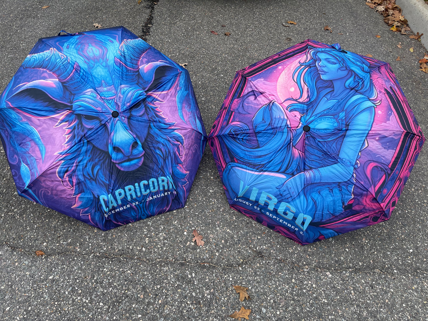 Rainy Day Artistry: Raining Through The Zodiac
